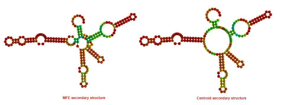 Riboswitch tools