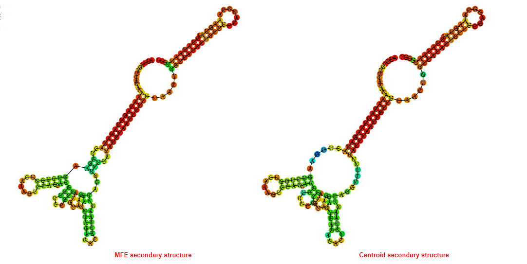 Riboswitch tools